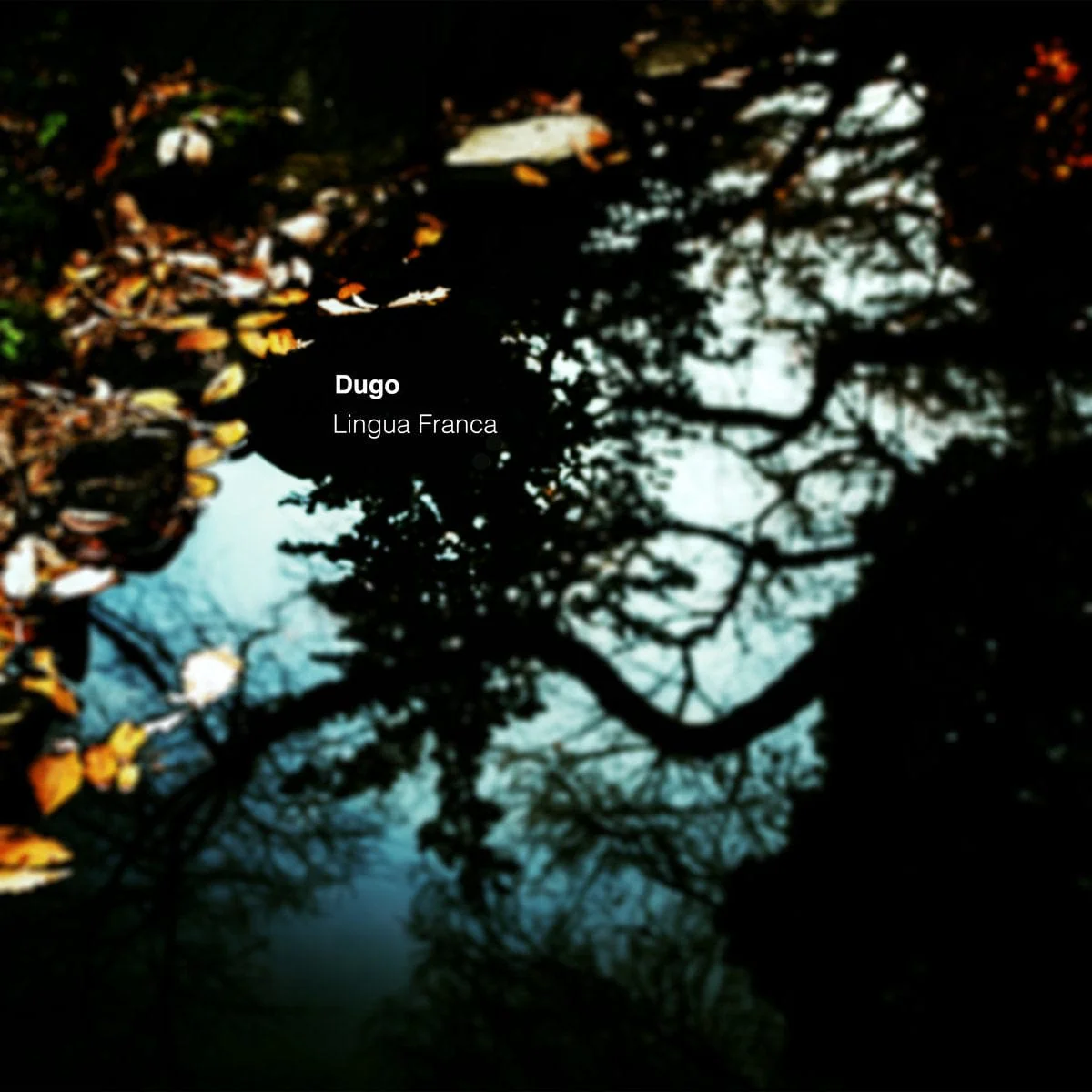 1798-lingua-franca-by-dugo-2xlp-1.webp Lingua Franca by Dugo 2XLP