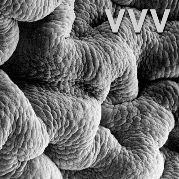 1808-shadow-world-by-vvv-1.webp Shadow World by VVV