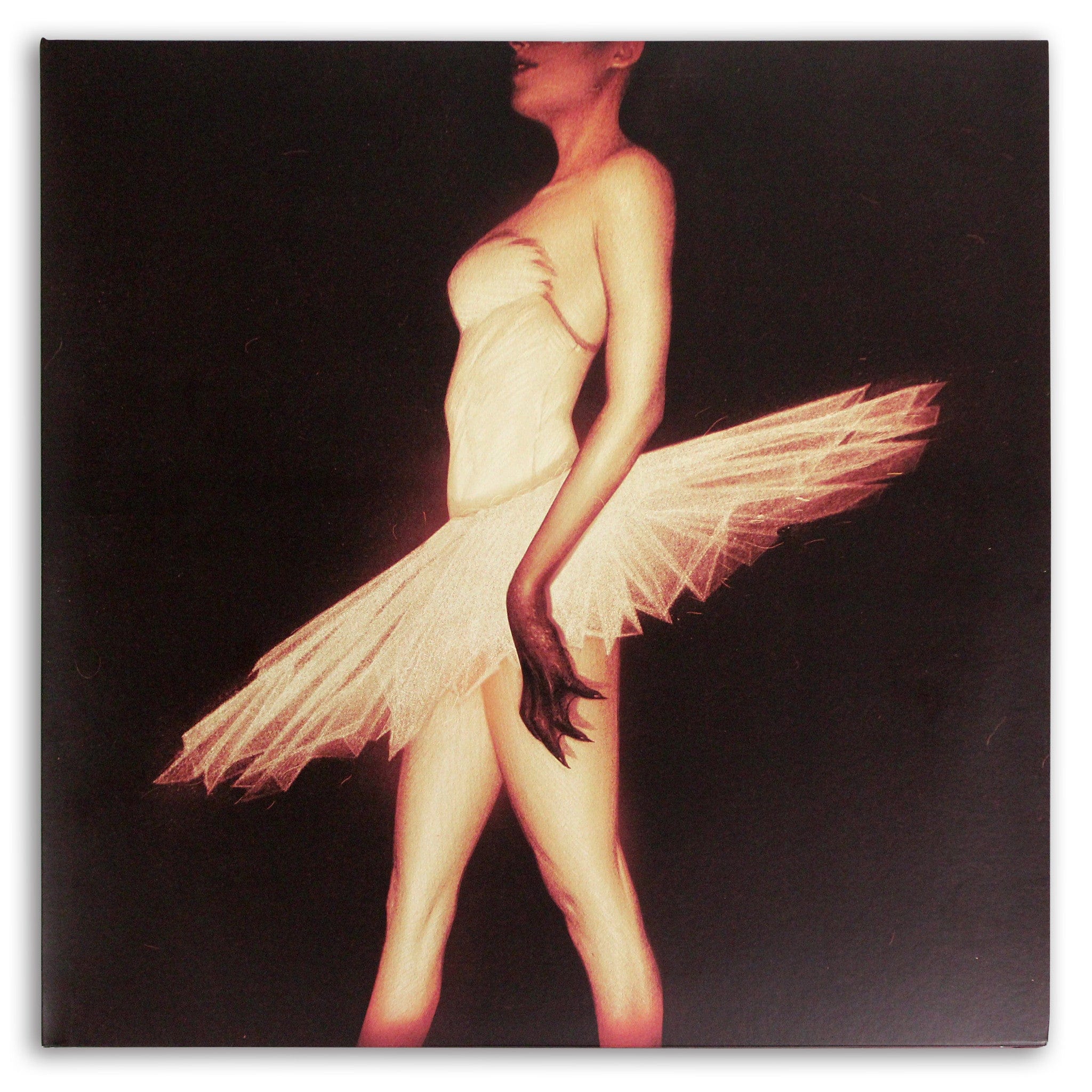 2141-black-swan-original-motion-picture-soundtrack-2xlp-8.jpg Black Swan – Original Motion Picture Soundtrack 2XLP