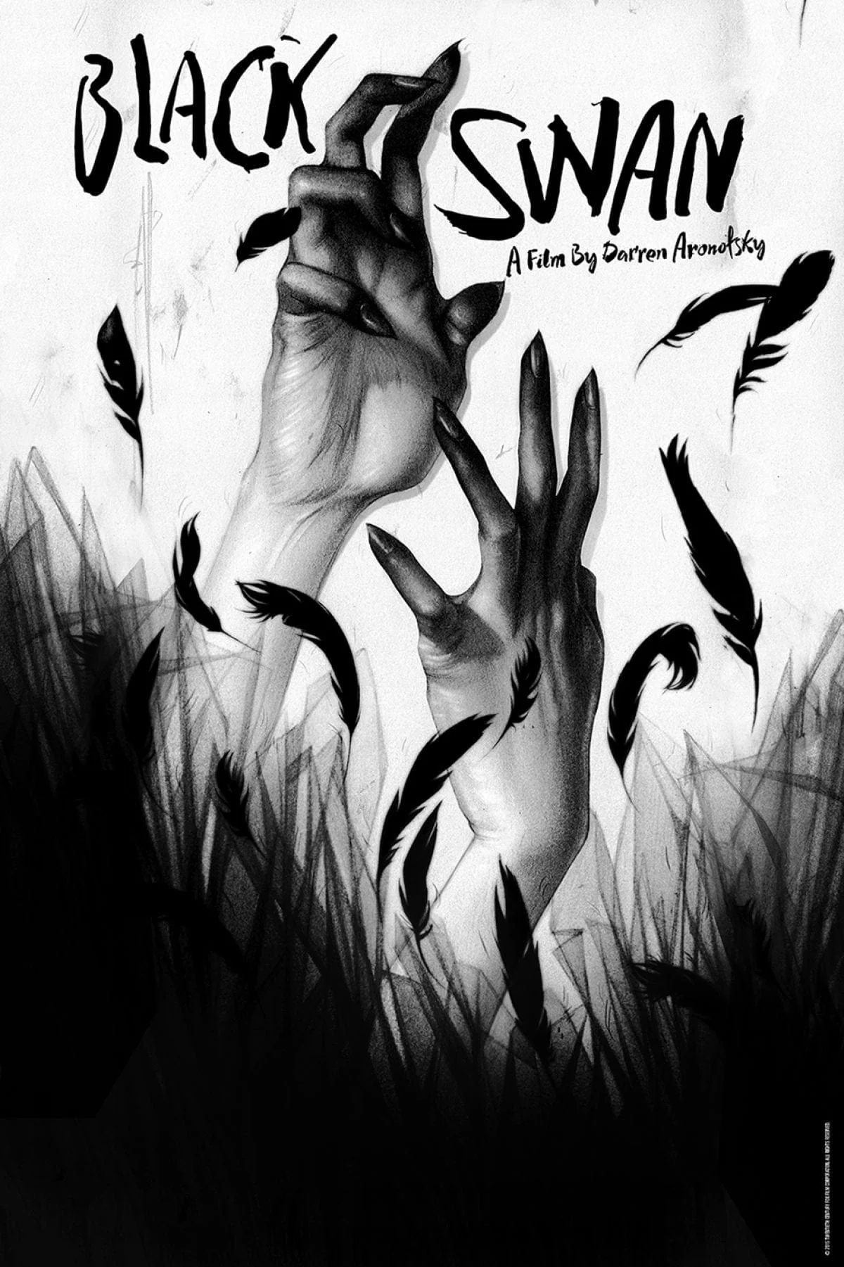 2958-black-swan-1.webp Black Swan