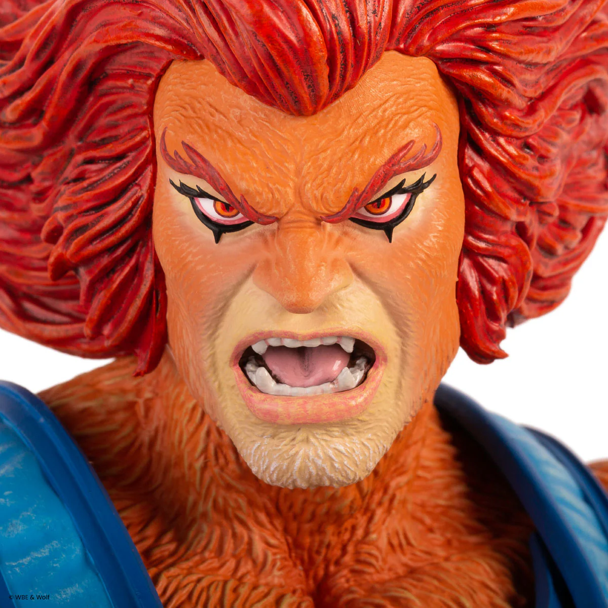 328-thundercats-lion-o-1-6-scale-figure-timed-edition-55.webp Thundercats - Lion-O 1/6 Scale Figure - Timed Edition