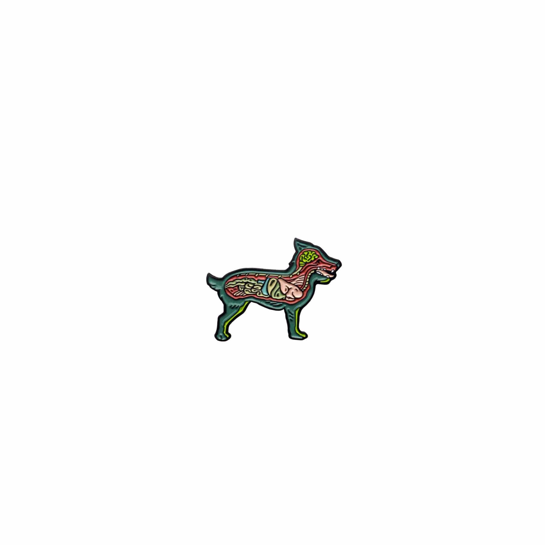 3378-dissected-dog-enamel-pin-2.jpg Dissected Dog Enamel Pin