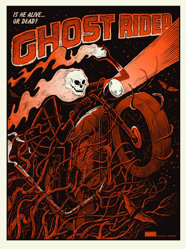 3727-ghost-rider-variant-1.jpg Ghost Rider Variant