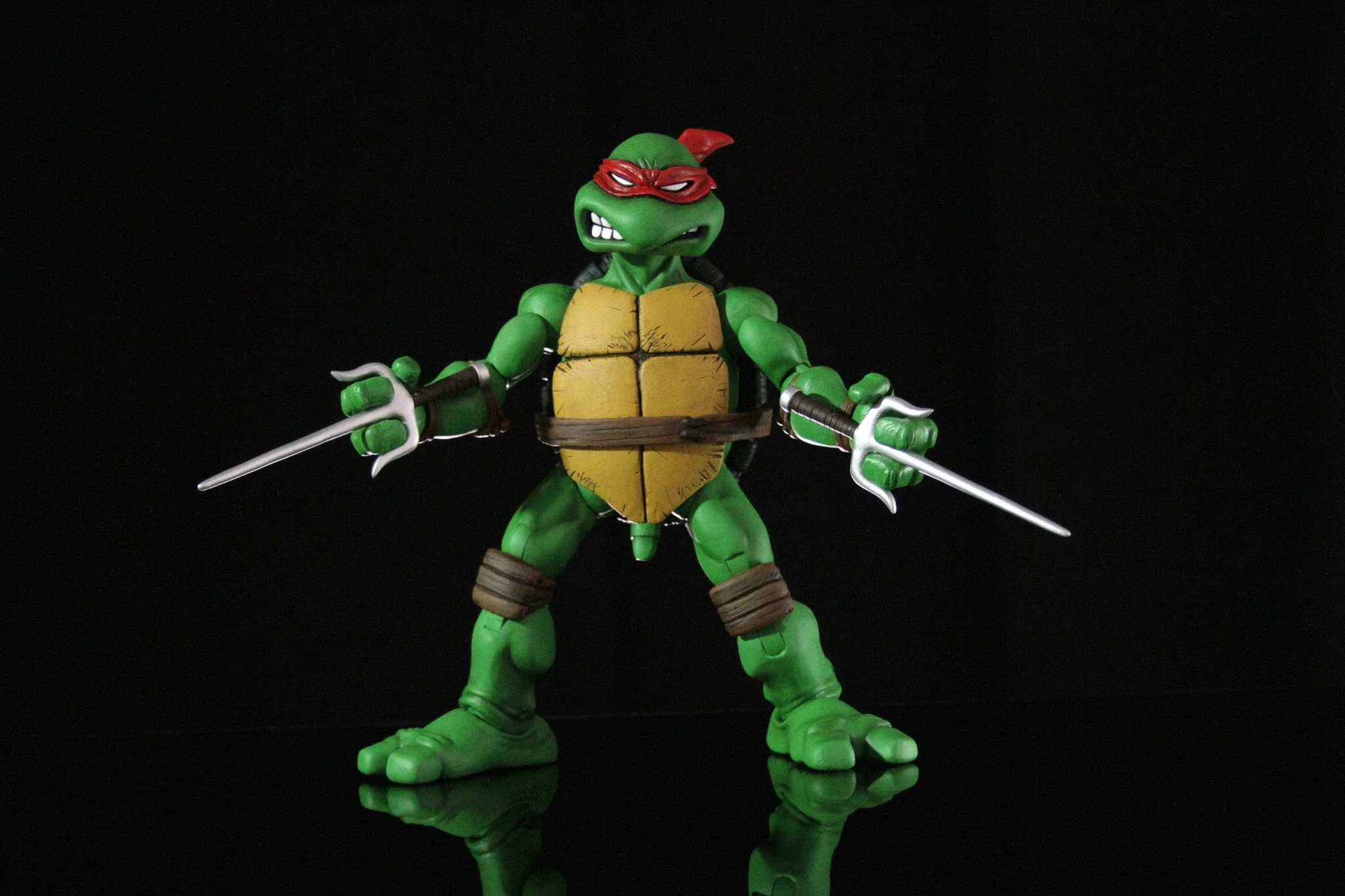 Raphael 1/6 Scale Collectible Figure Exclusive