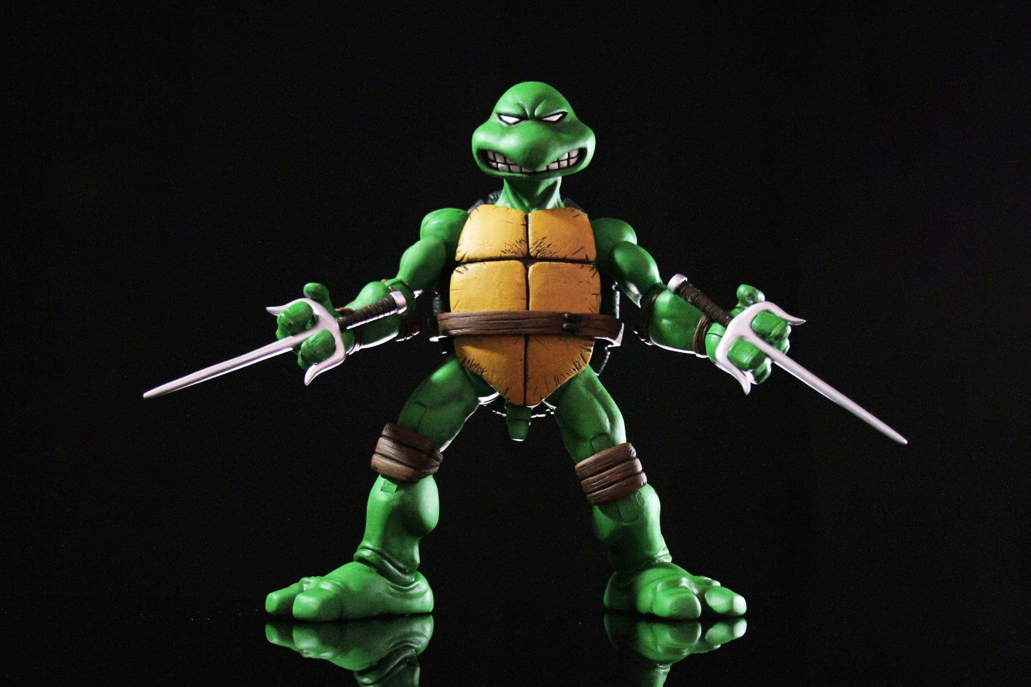 Raphael 1/6 Scale Collectible Figure Exclusive
