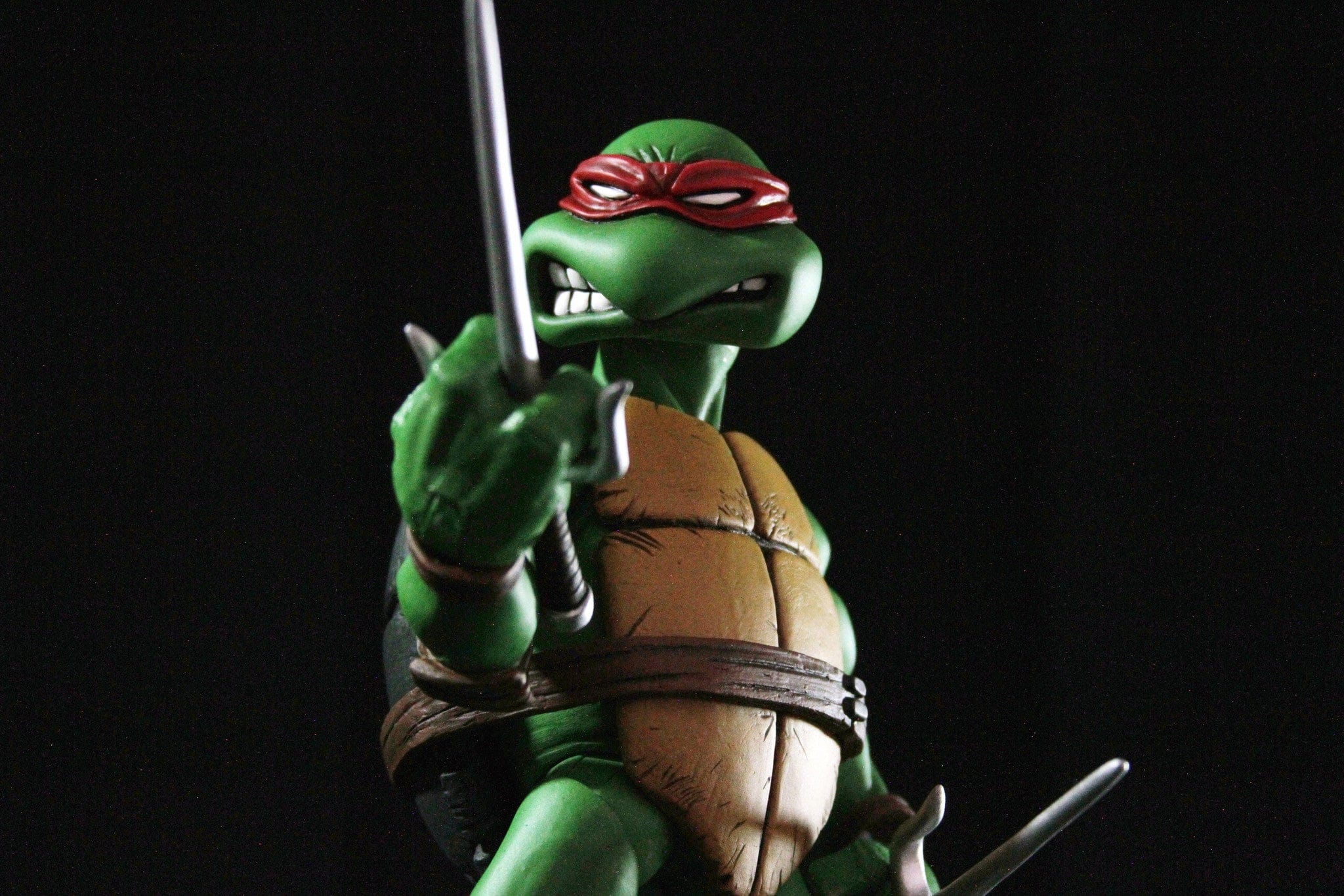 Raphael 1/6 Scale Collectible Figure Exclusive