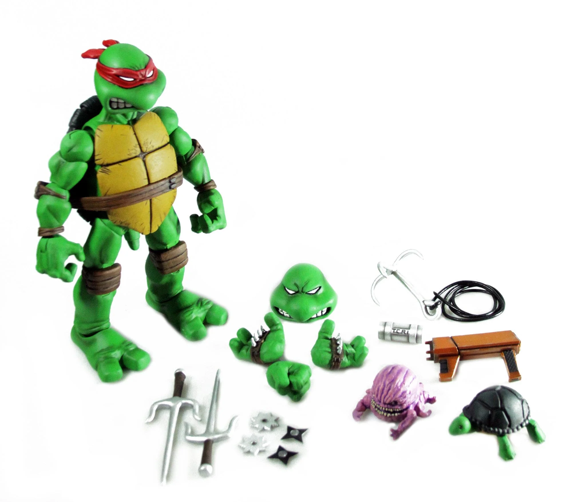 Raphael 1/6 Scale Collectible Figure