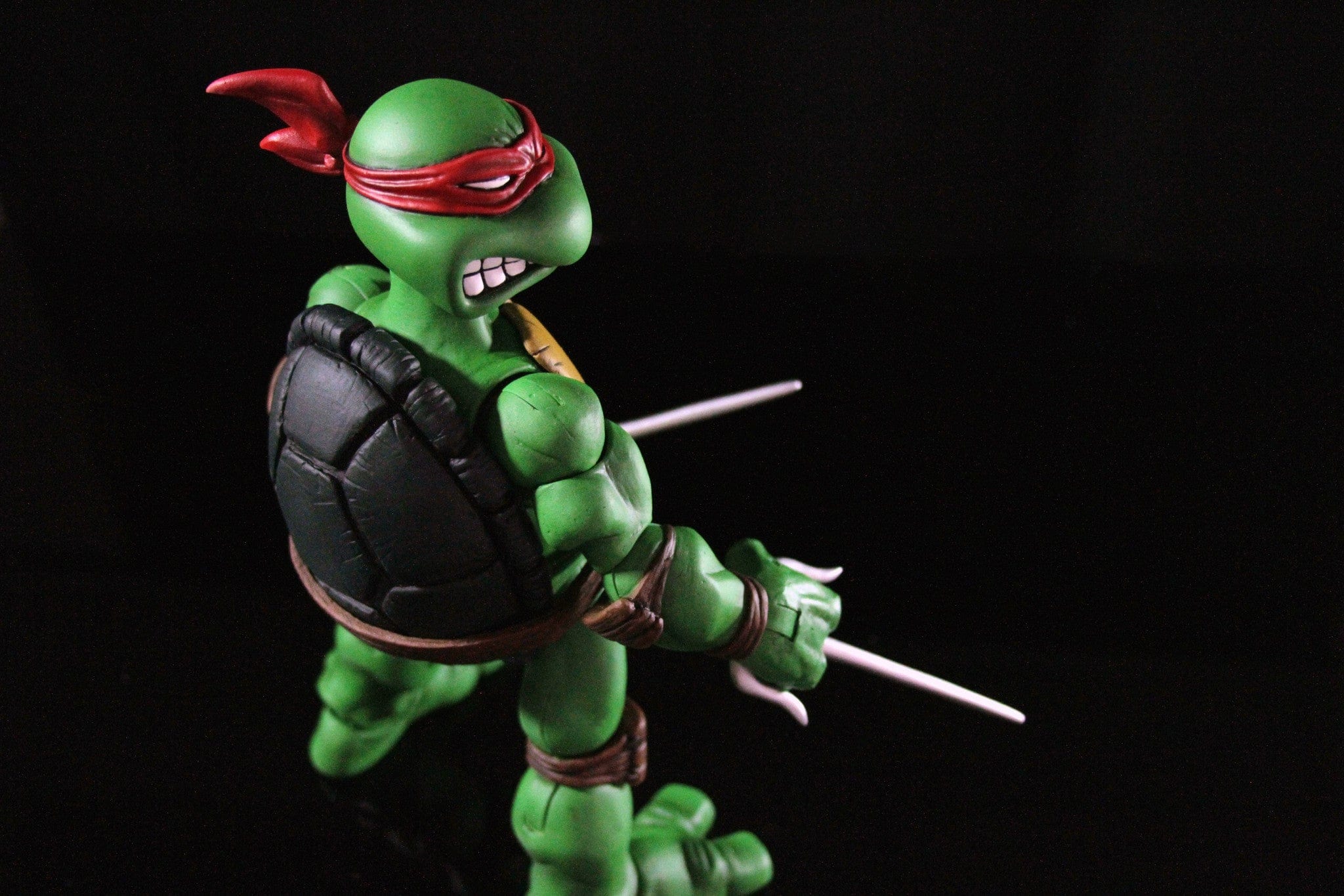 Raphael 1/6 Scale Collectible Figure
