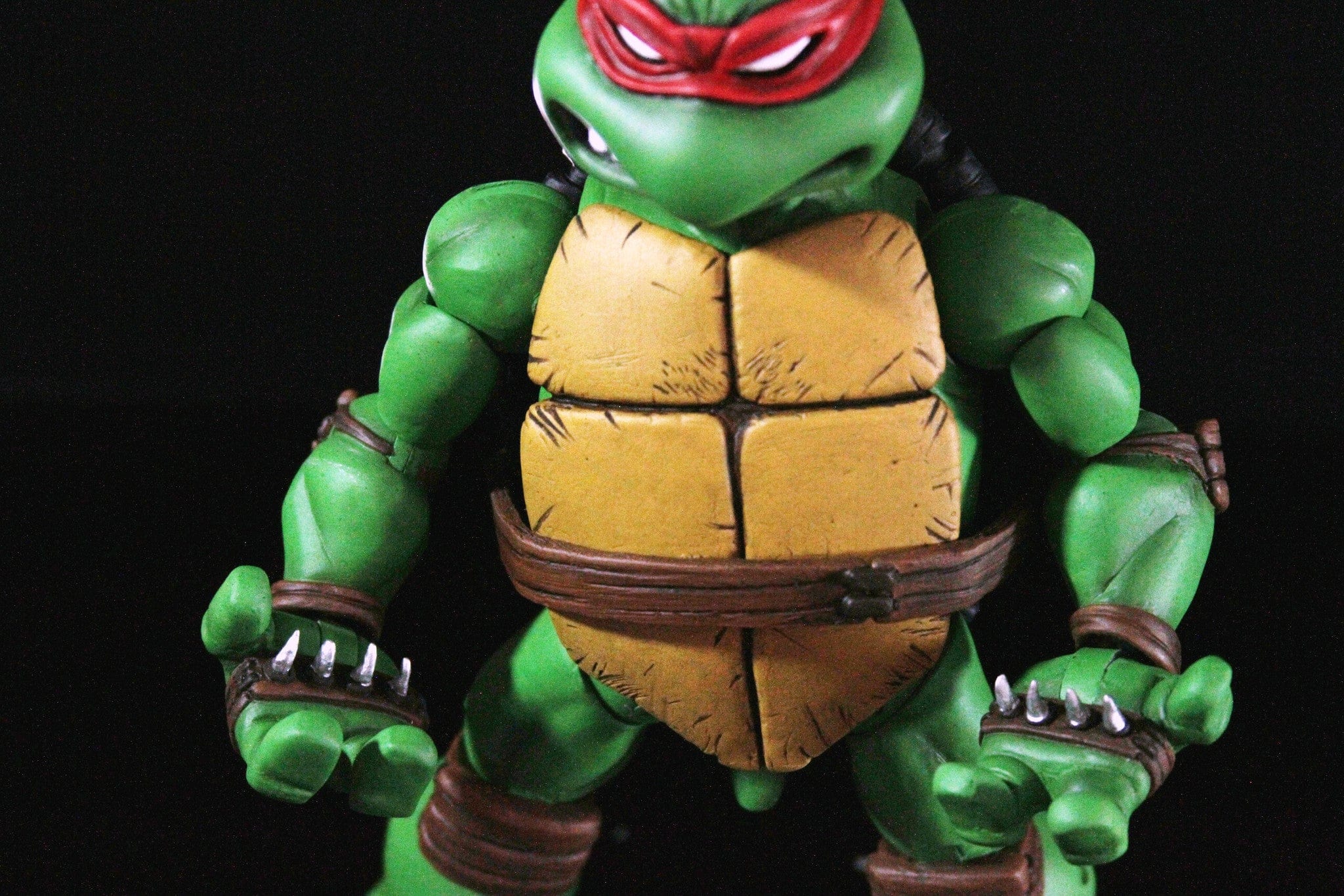 Raphael 1/6 Scale Collectible Figure