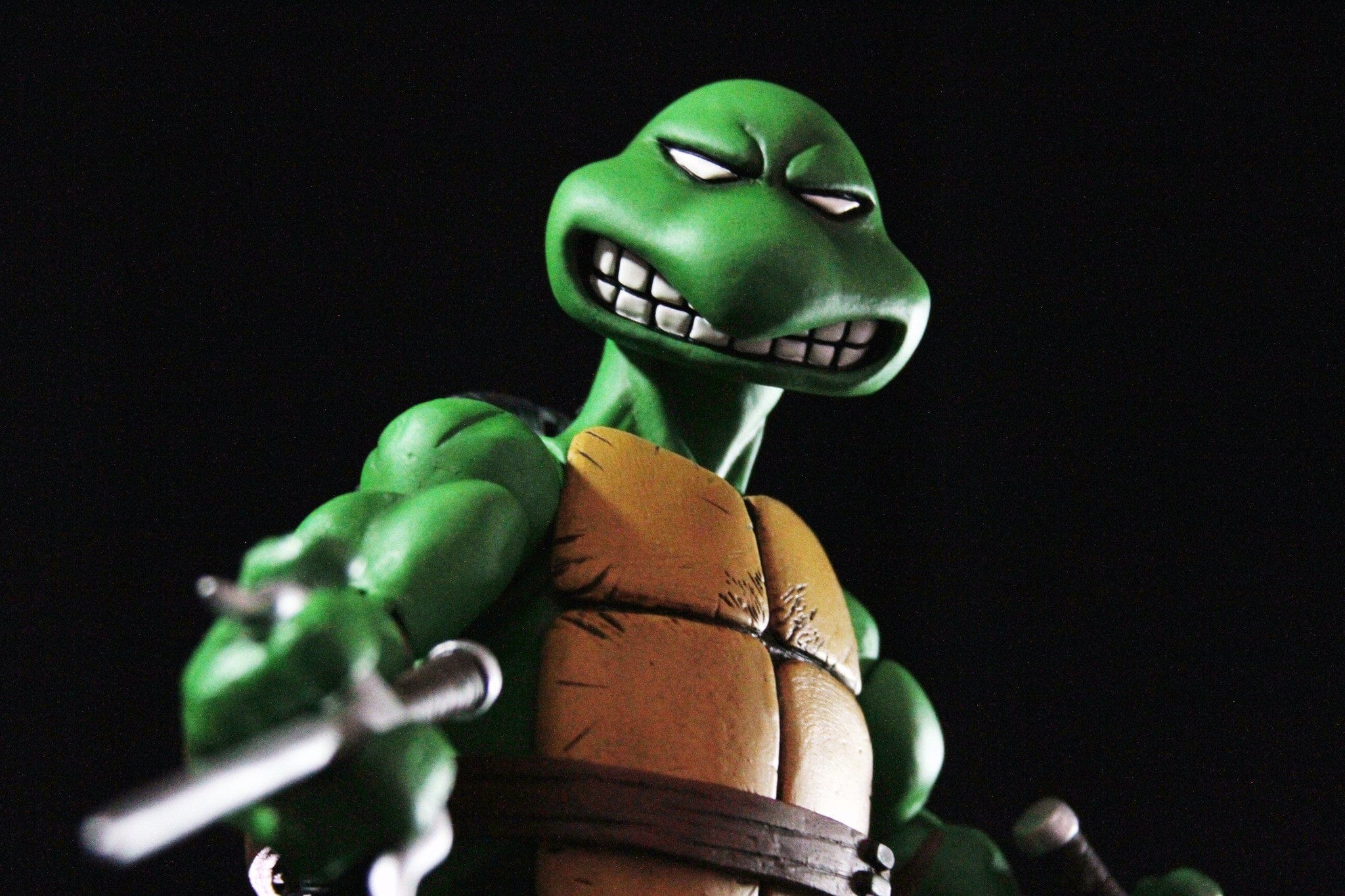 Raphael 1/6 Scale Collectible Figure