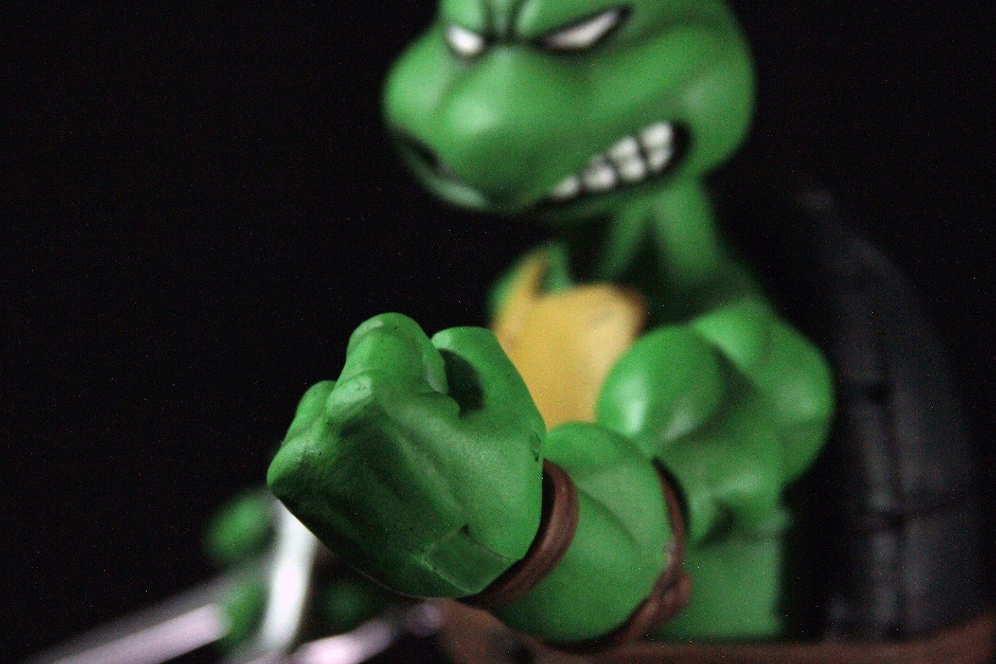Raphael 1/6 Scale Collectible Figure
