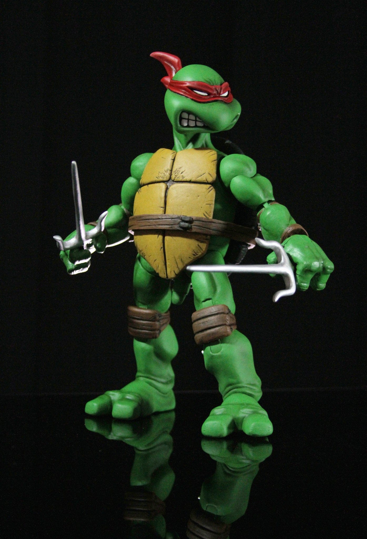 Raphael 1/6 Scale Collectible Figure
