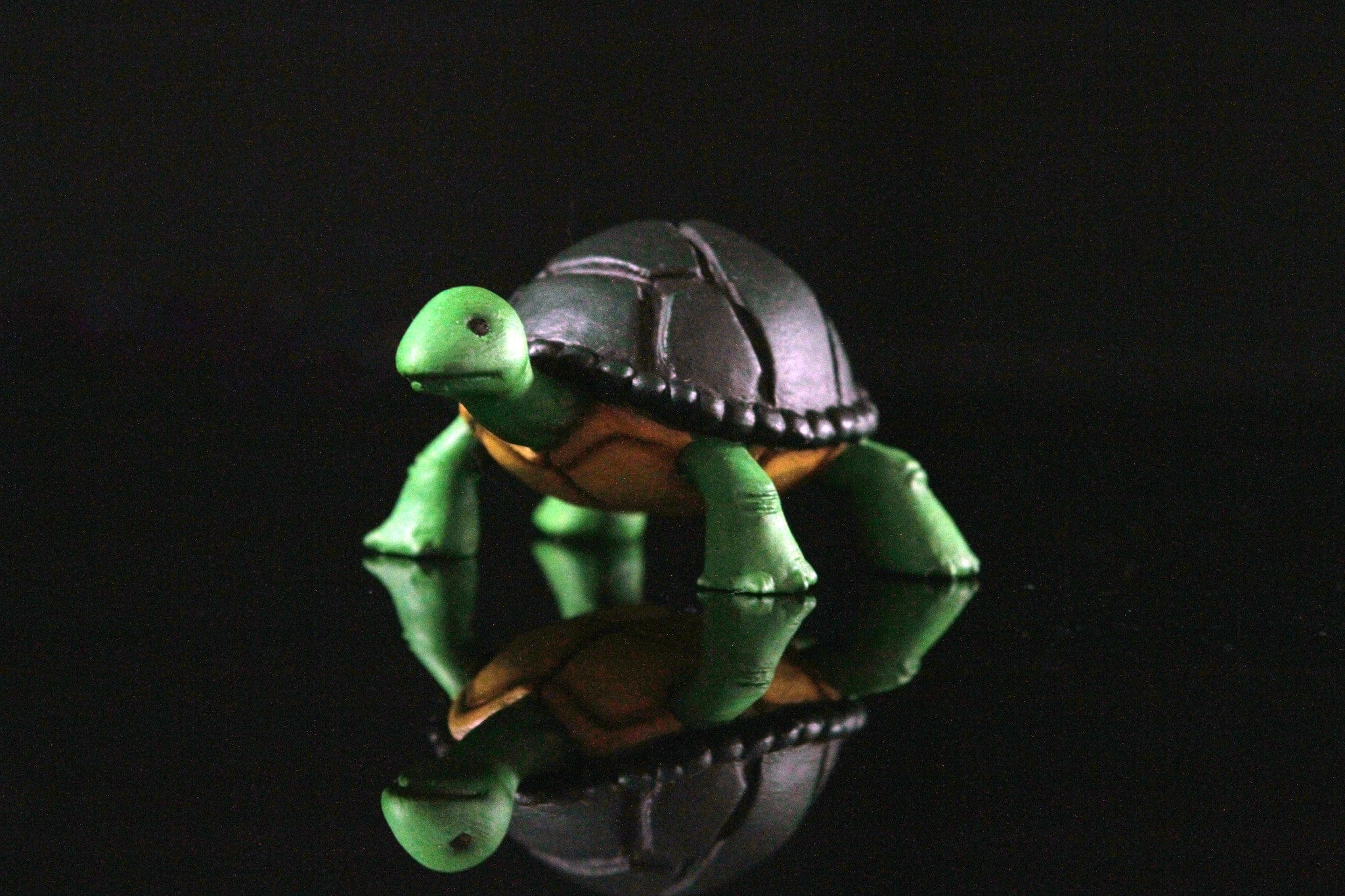Raphael 1/6 Scale Collectible Figure