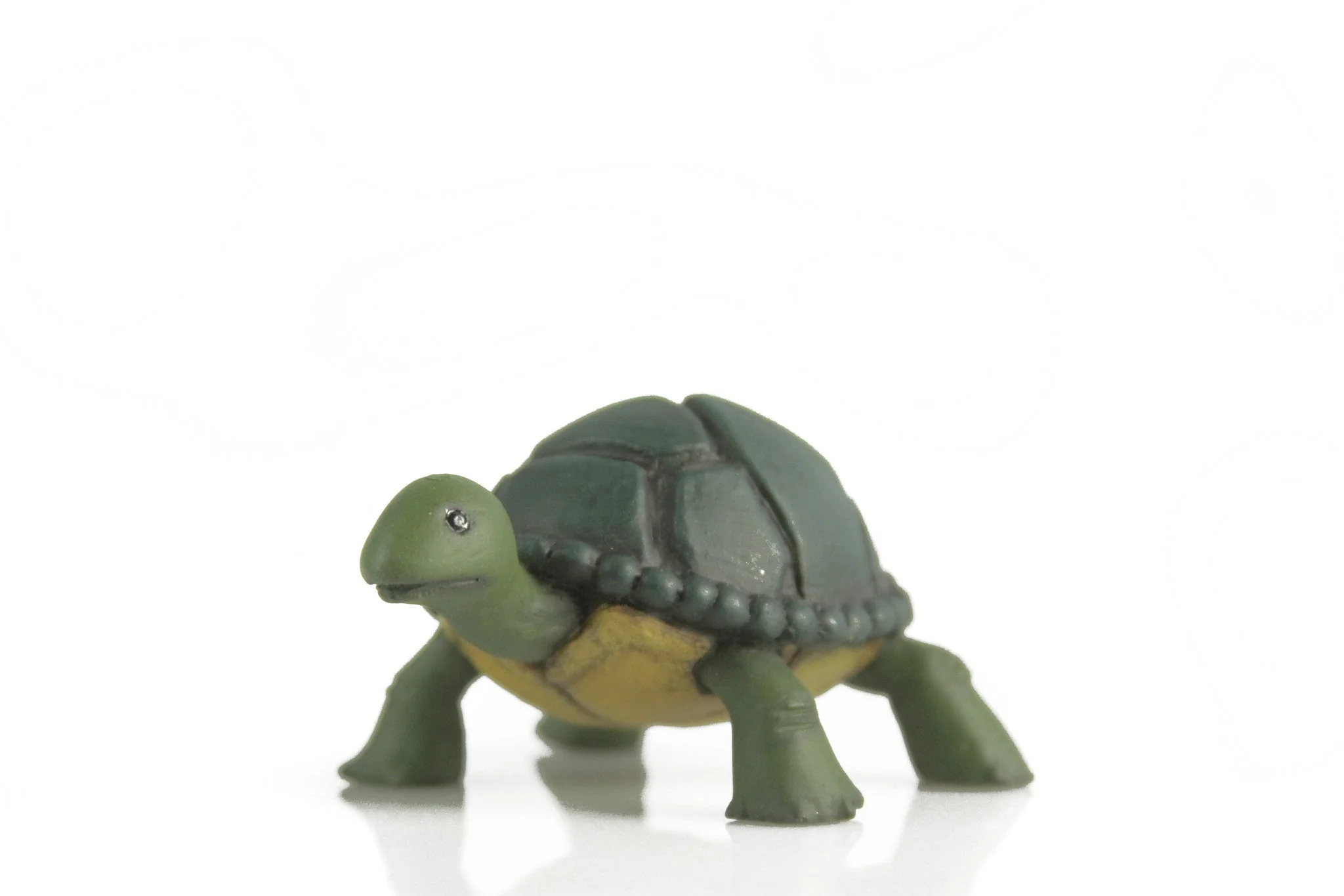 Leonardo 1/6 Scale Collectible Figure